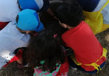 Piccoli ospiti a Casa Simoni